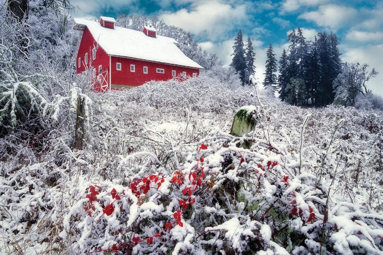 Snowy Barn