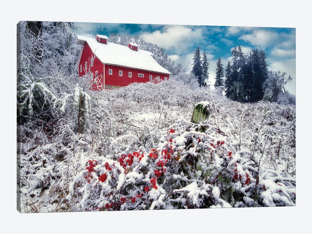 Snowy Barn by Dennis Frates 1-piece Canvas Print