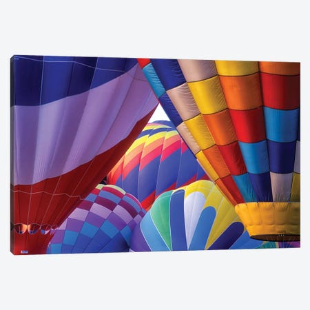 Blast Of Color Canvas Print #DEN1024} by Dennis Frates Canvas Wall Art
