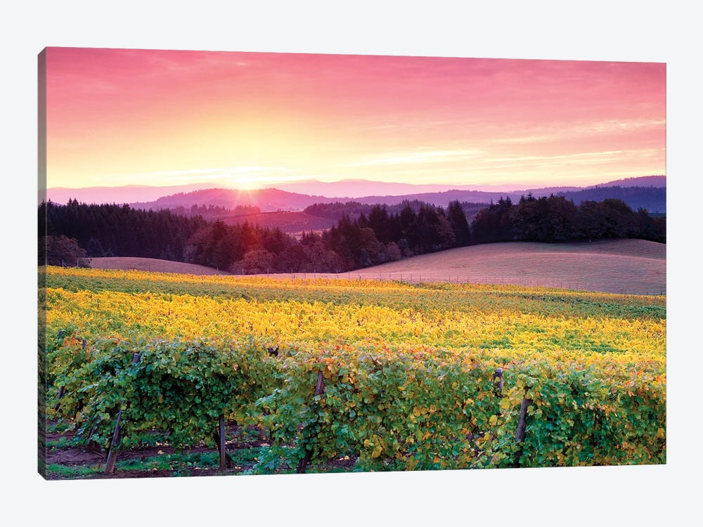 Vineyard Sunrise II by Dennis Frates 1-piece Canvas Print