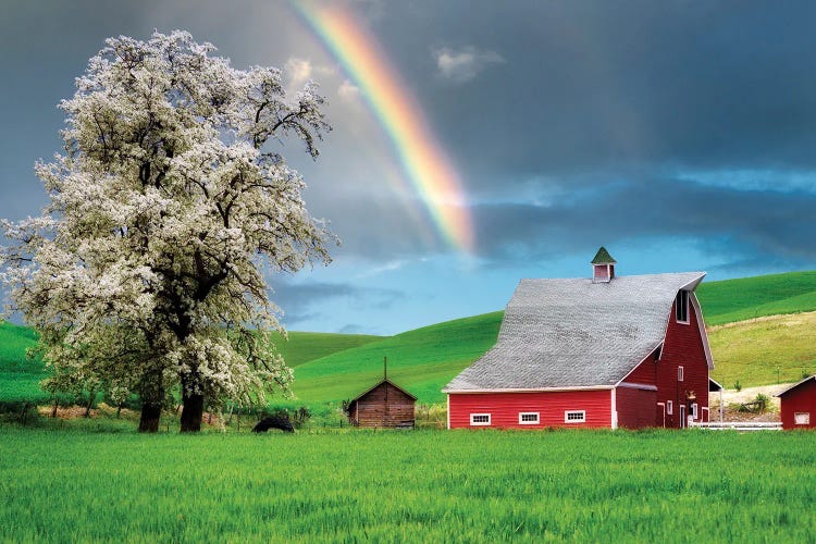 Spring Barn