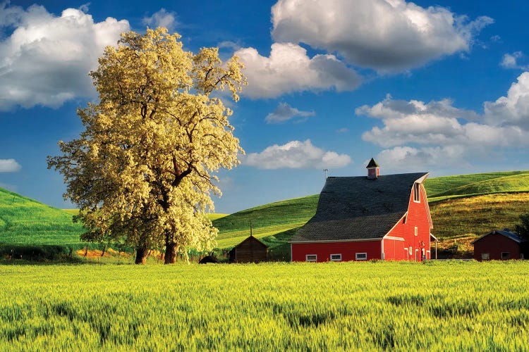 Spring Barn II