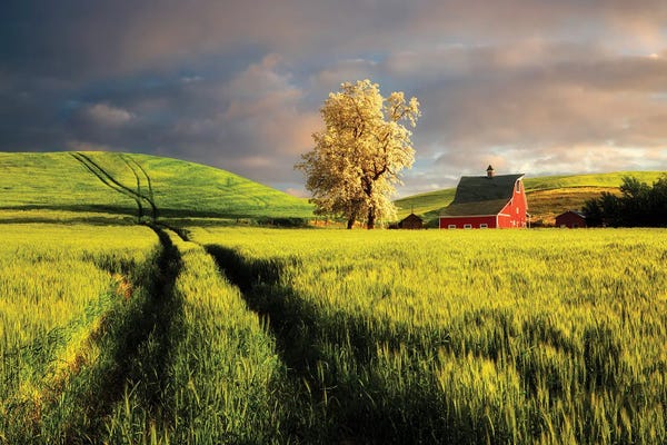 Spring Barn III
