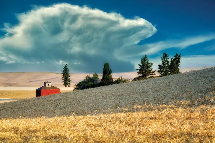 Barn Storm by Dennis Frates wall art