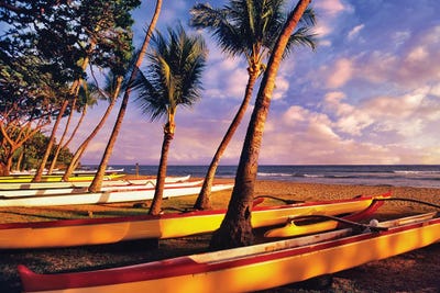 Ready For Race by Dennis Frates canvas print