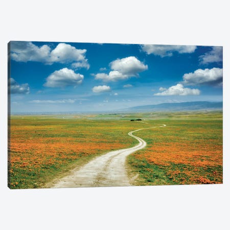 Spring Road Canvas Print #DEN1039} by Dennis Frates Canvas Wall Art
