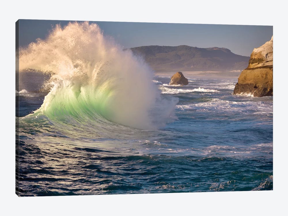 Dramatic Wave by Dennis Frates 1-piece Canvas Art