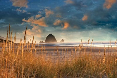 Dune Grass Sunrise by Dennis Frates art print