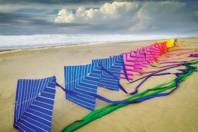 Beach Kite by Dennis Frates canvas print