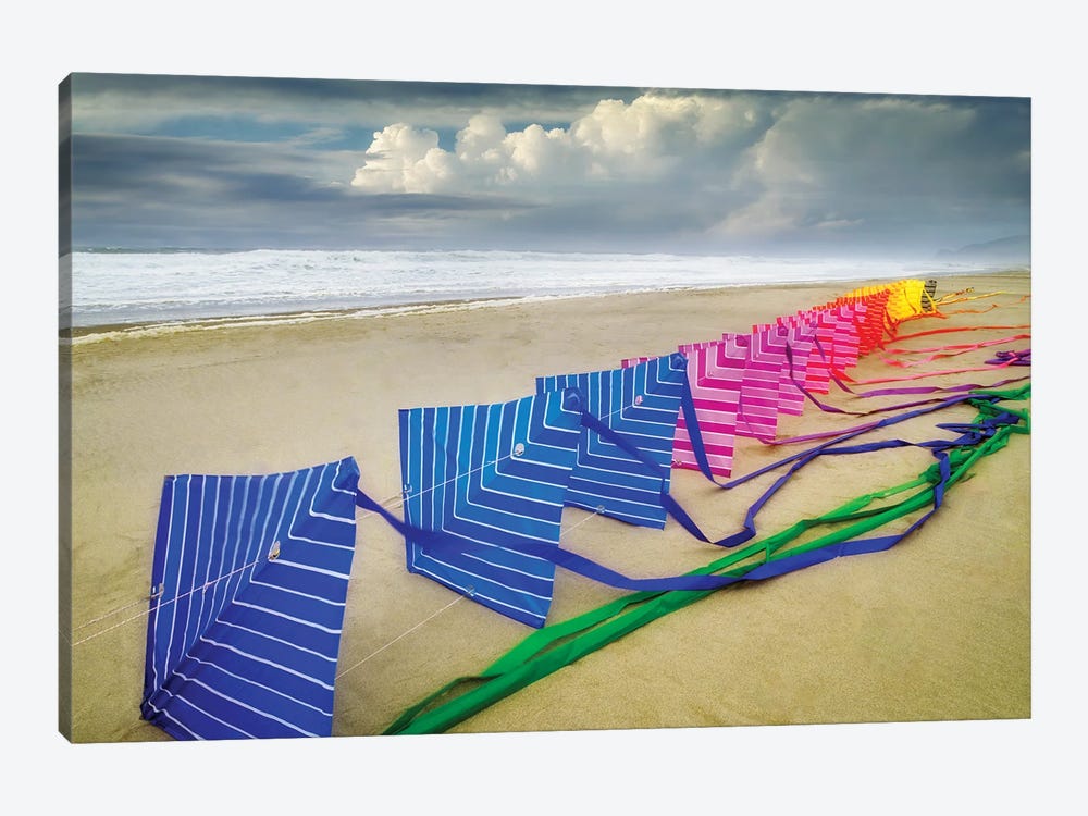 Beach Kite by Dennis Frates 1-piece Art Print