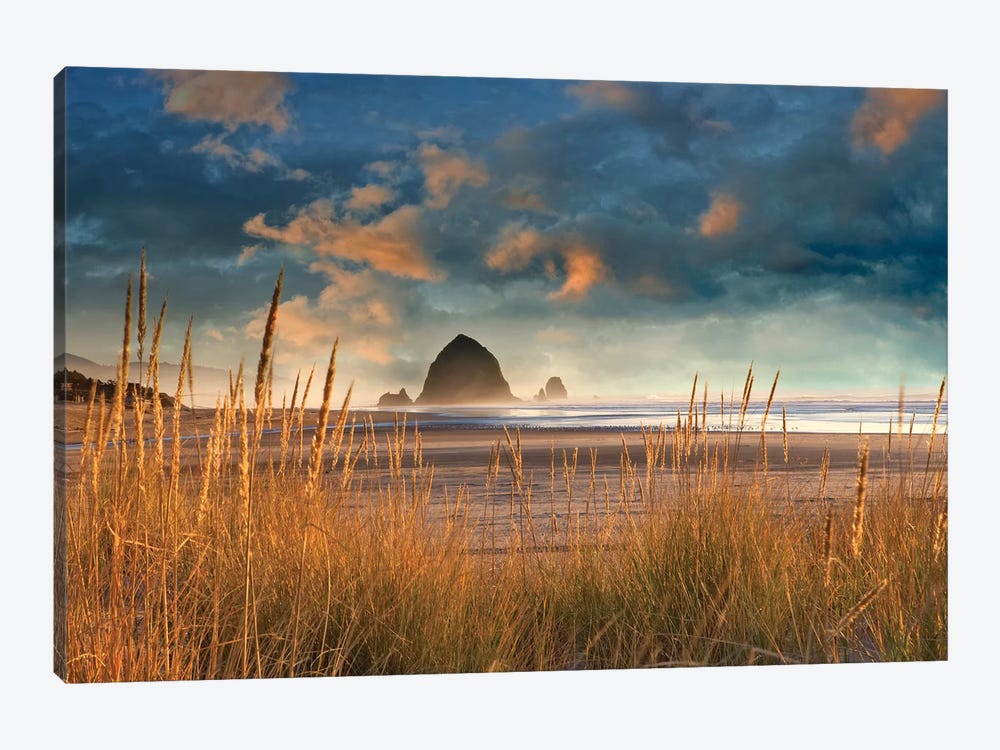 Dune Grass Sunrise by Dennis Frates 1-piece Canvas Print