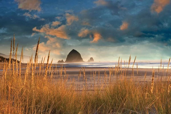 Dune Grass Sunrise