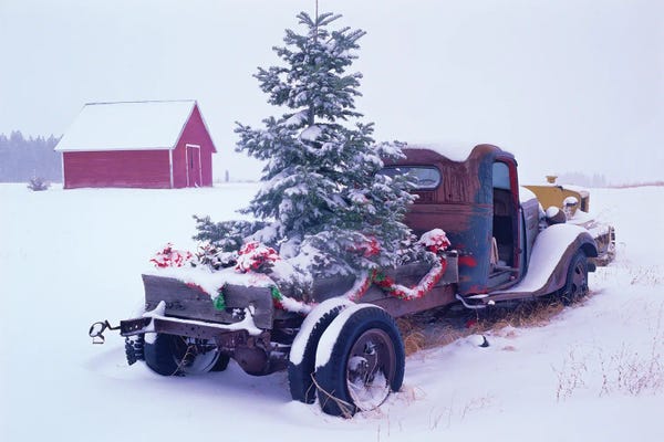 Farmhouse Festive: Truck Christmas Tree by Dennis Frates