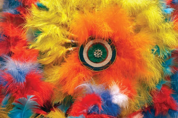 Native American Décor: Native American Headdress by Dennis Frates