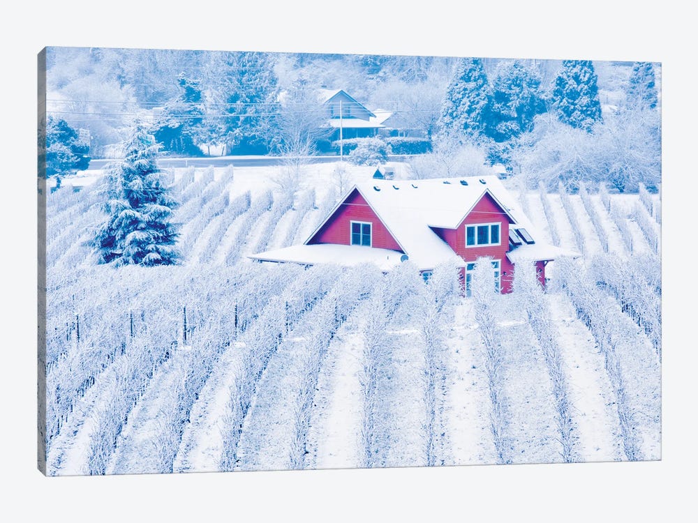 Winter Vineyard by Dennis Frates 1-piece Art Print