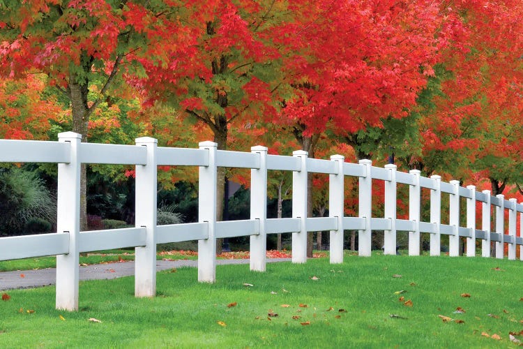 Autumn Fence