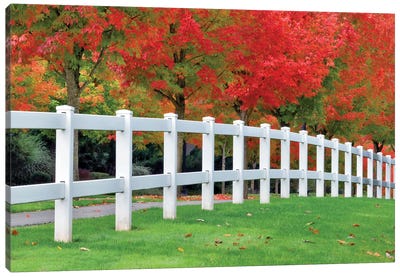 Autumn Fence Canvas Art Print - Gate Art
