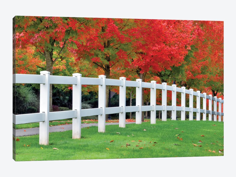 Autumn Fence by Dennis Frates 1-piece Canvas Art