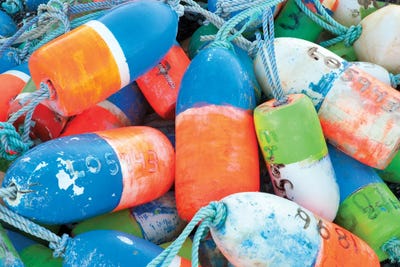 Sea Floats by Dennis Frates canvas print