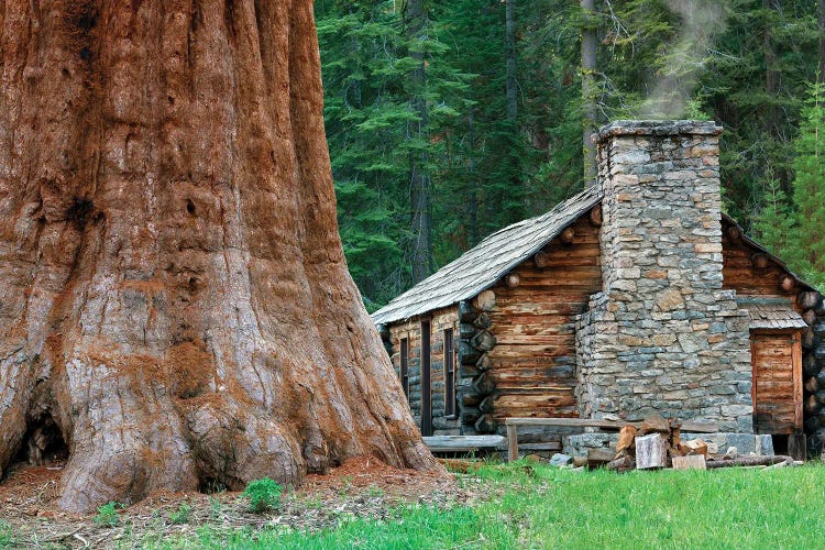 Redwood Cabin