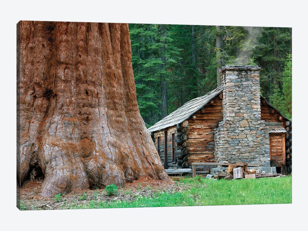 Redwood Cabin by Dennis Frates 1-piece Canvas Wall Art