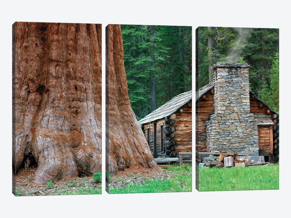 Redwood Cabin by Dennis Frates 3-piece Canvas Art