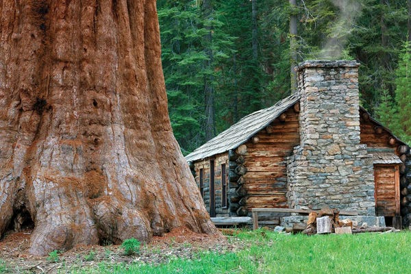 Cabins: Redwood Cabin by Dennis Frates