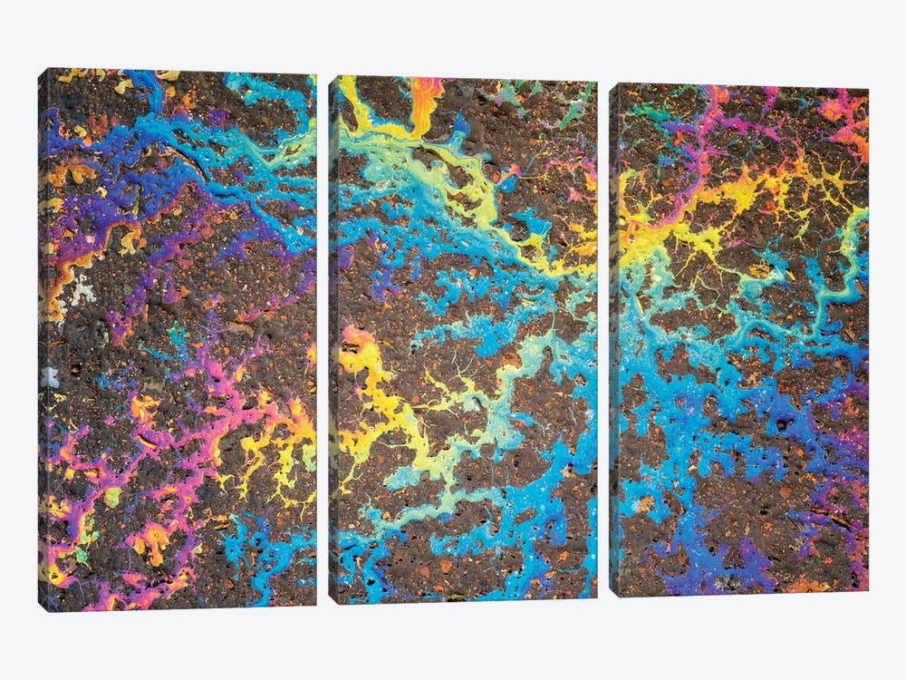 Rainbow Pattern by Dennis Frates 3-piece Canvas Print