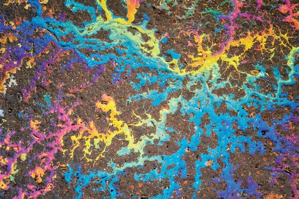 Marshes & Swamps: Rainbow Pattern by Dennis Frates