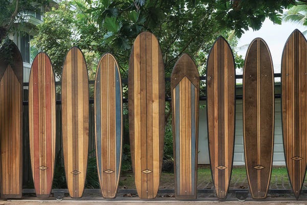 Surfboard Fence IV
