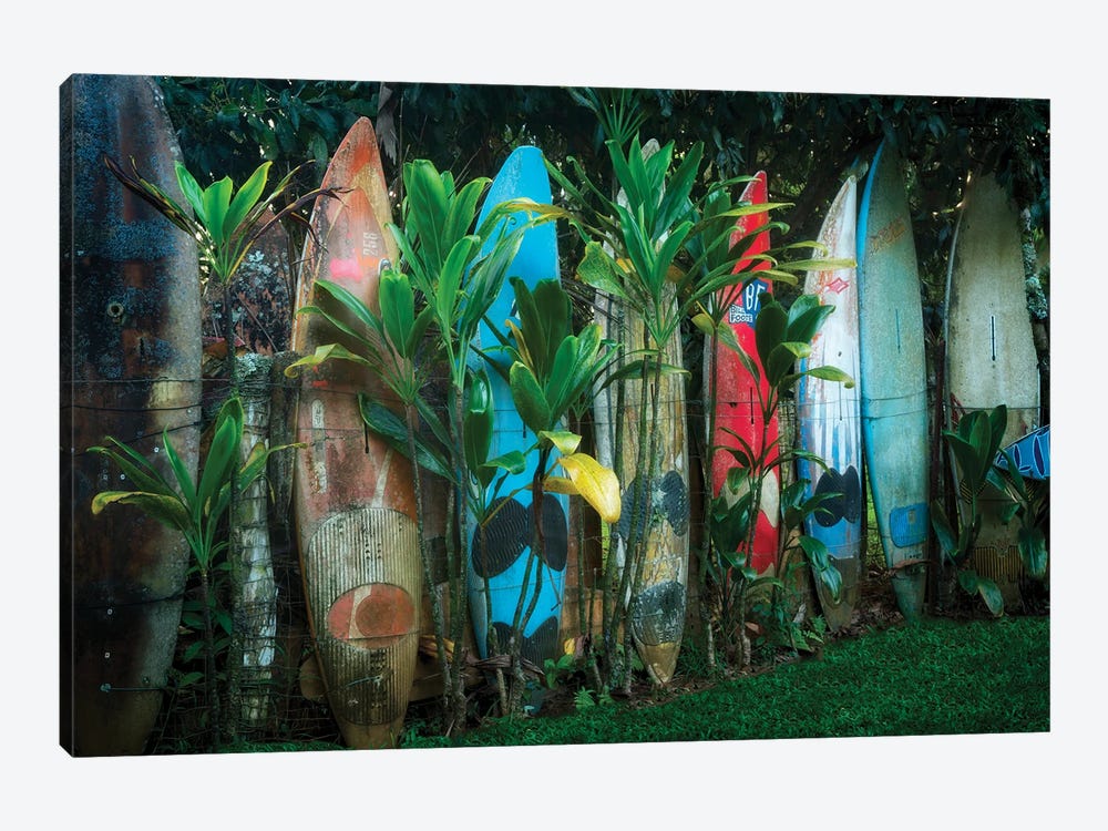 Surfboard Fence V by Dennis Frates 1-piece Canvas Art Print