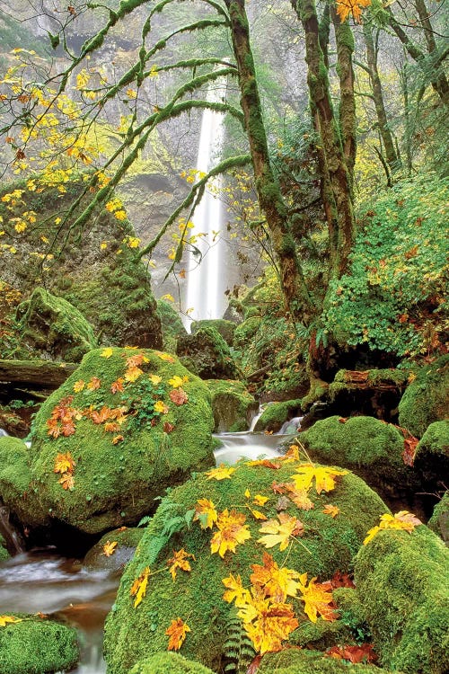 Elowah Falls