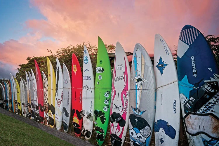 Surfboard Fence VI
