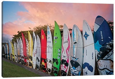 Surfboard Fence VI Canvas Art Print - Surfing Art