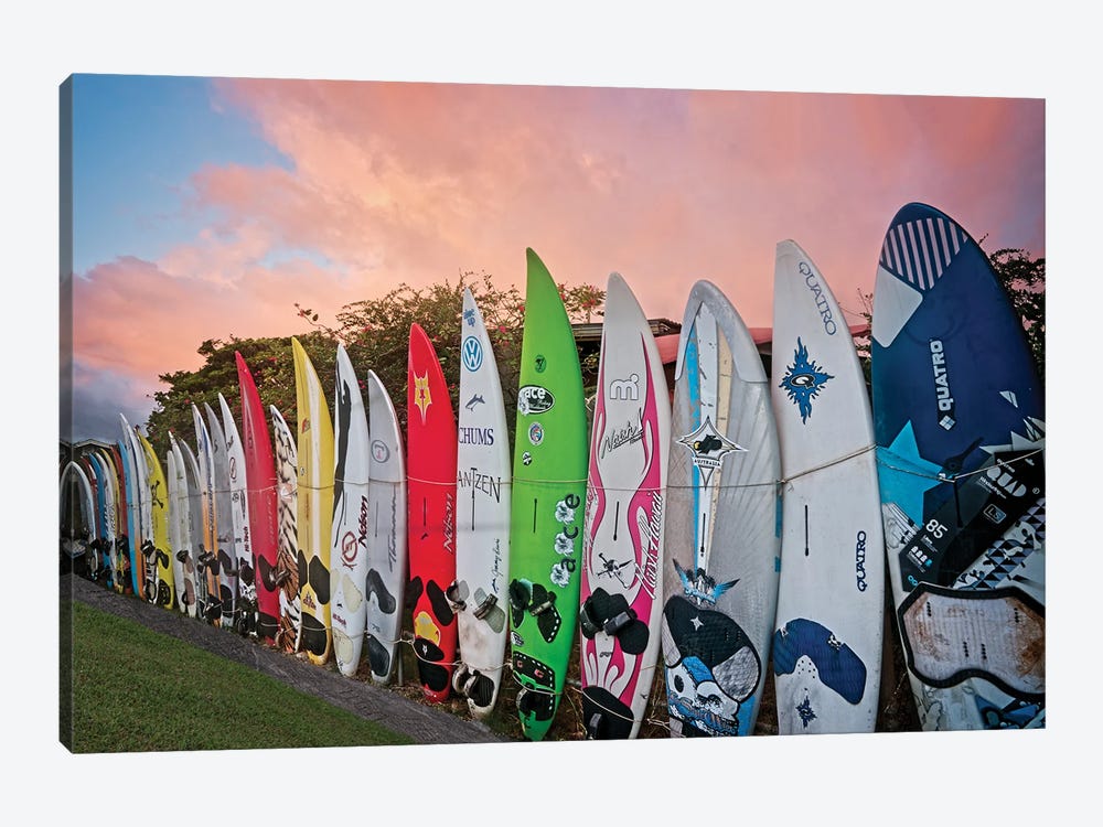 Surfboard Fence VI by Dennis Frates 1-piece Canvas Artwork