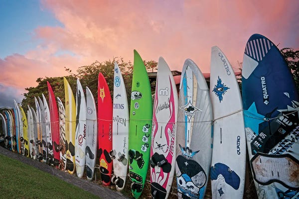 Surfboard Fence VI