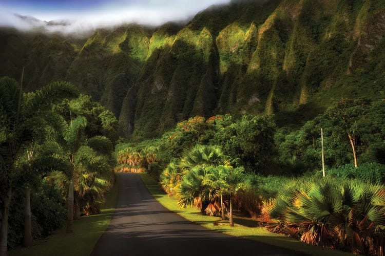 Tropical Road III by Dennis Frates wall art