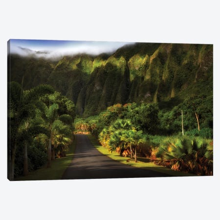 Tropical Road III Canvas Print #DEN1091} by Dennis Frates Canvas Wall Art