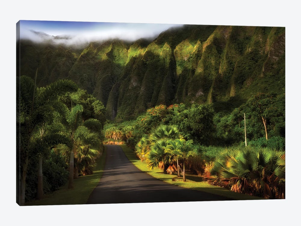 Tropical Road III by Dennis Frates 1-piece Art Print