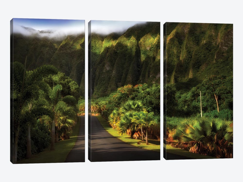 Tropical Road III by Dennis Frates 3-piece Canvas Print