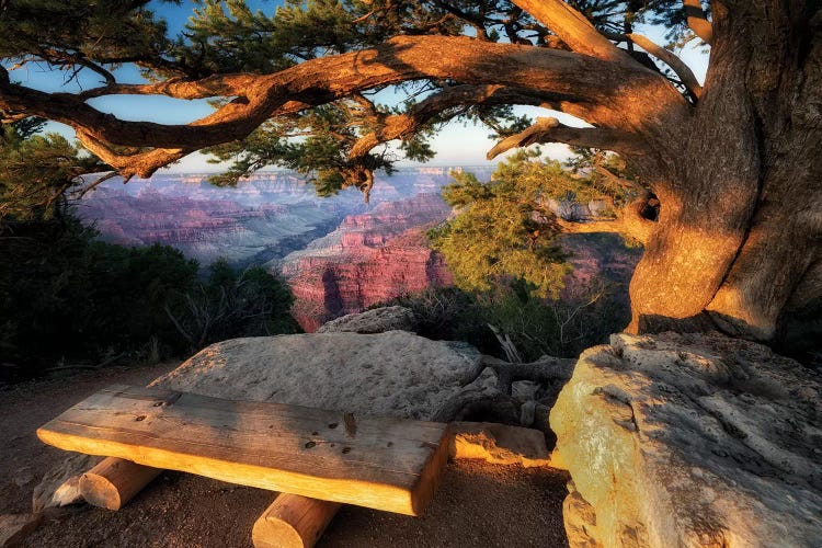 A Place To View by Dennis Frates wall art