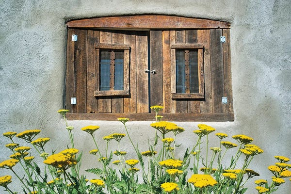 Windows: Southwest Shutters by Dennis Frates