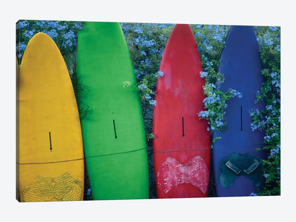 Surfboard Fence VII by Dennis Frates 1-piece Canvas Wall Art