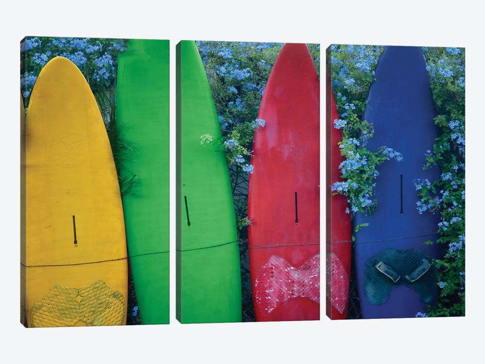 Surfboard Fence VII by Dennis Frates 3-piece Canvas Artwork