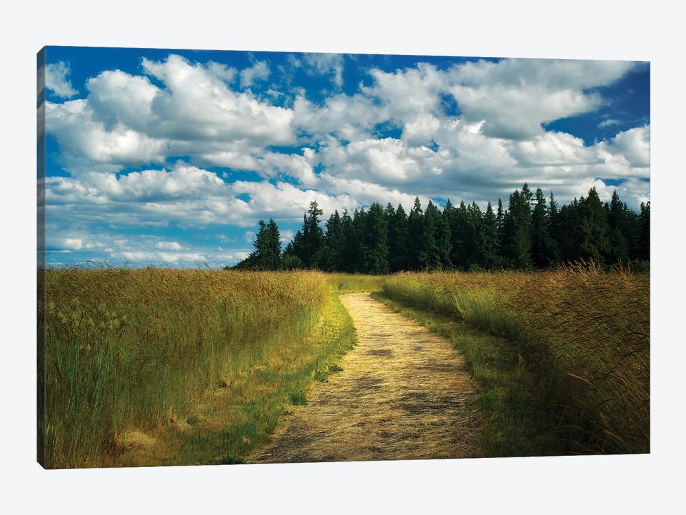 Peaceful Trail by Dennis Frates 1-piece Canvas Print