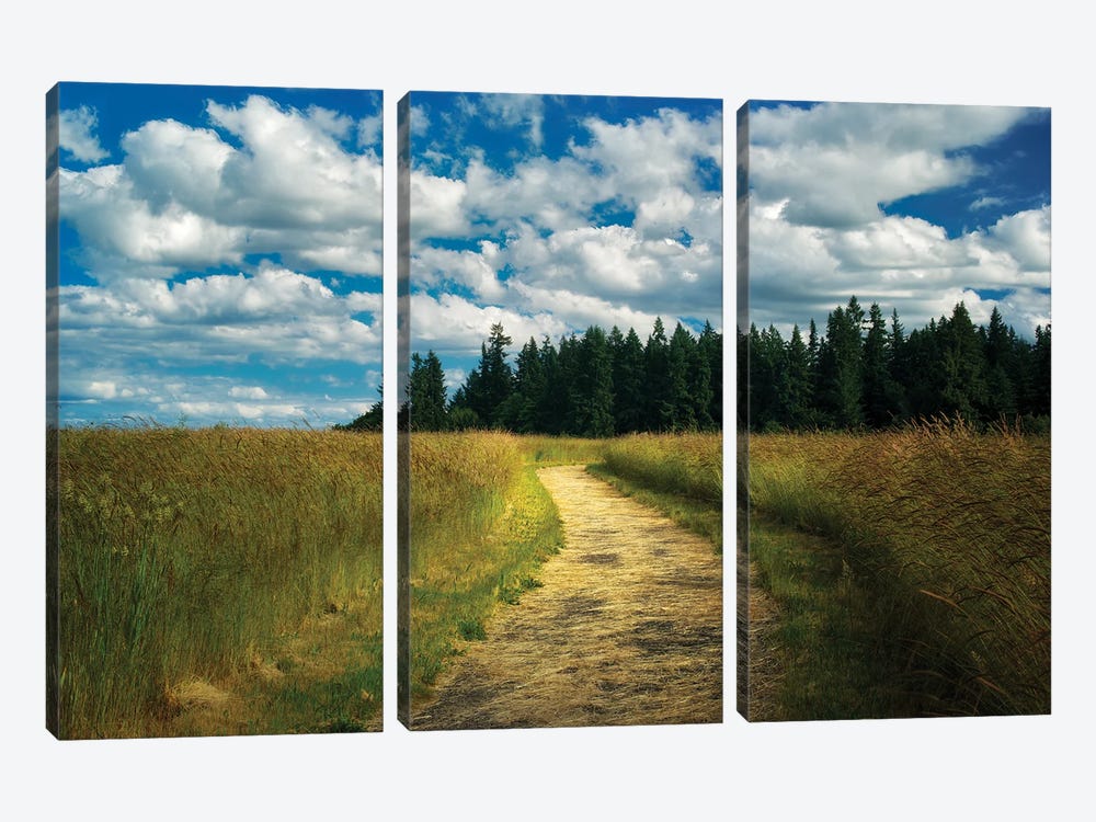 Peaceful Trail by Dennis Frates 3-piece Canvas Art Print