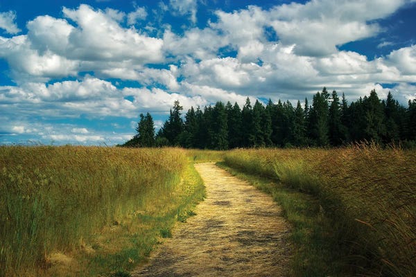 Peaceful Trail