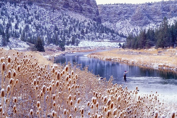 Photography: River Fly Fishing by Dennis Frates