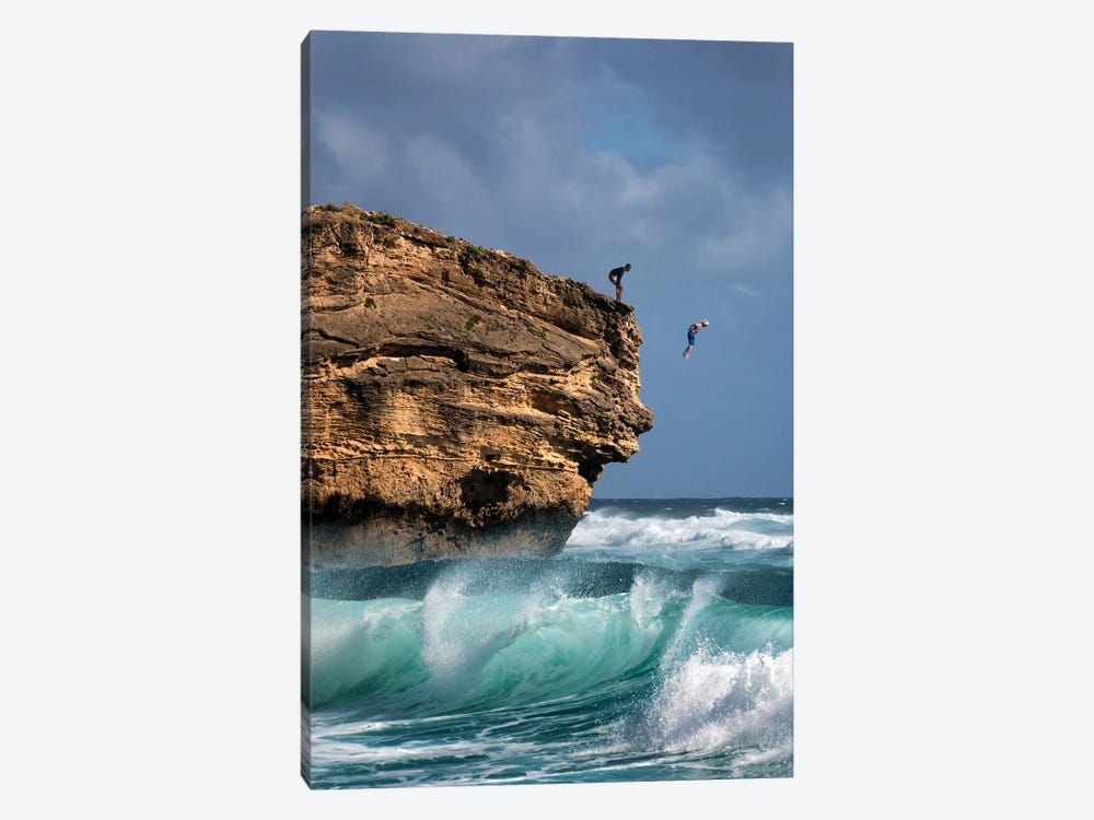 Cliff Jumping by Dennis Frates 1-piece Canvas Artwork