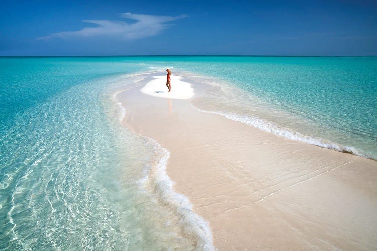 Island Alone by Dennis Frates wall art